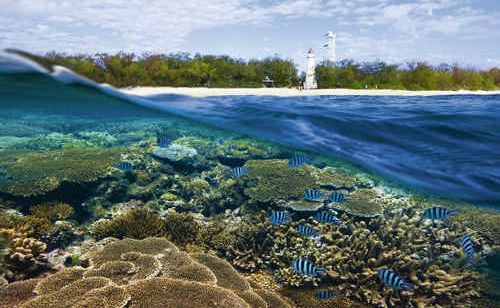 Staff vacancies at Lady Elliot Island Eco-resort are rare. Staff vacancies at Lady Elliot Island Eco-resort are rare.